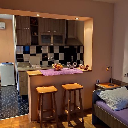 Apartman Ristic Niska Banja Eksteriør billede