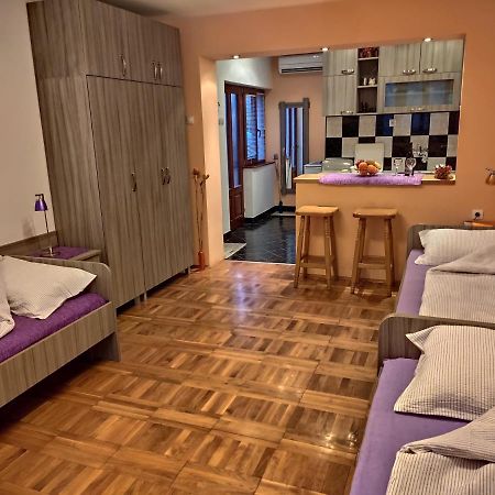 Apartman Ristic Niska Banja Eksteriør billede