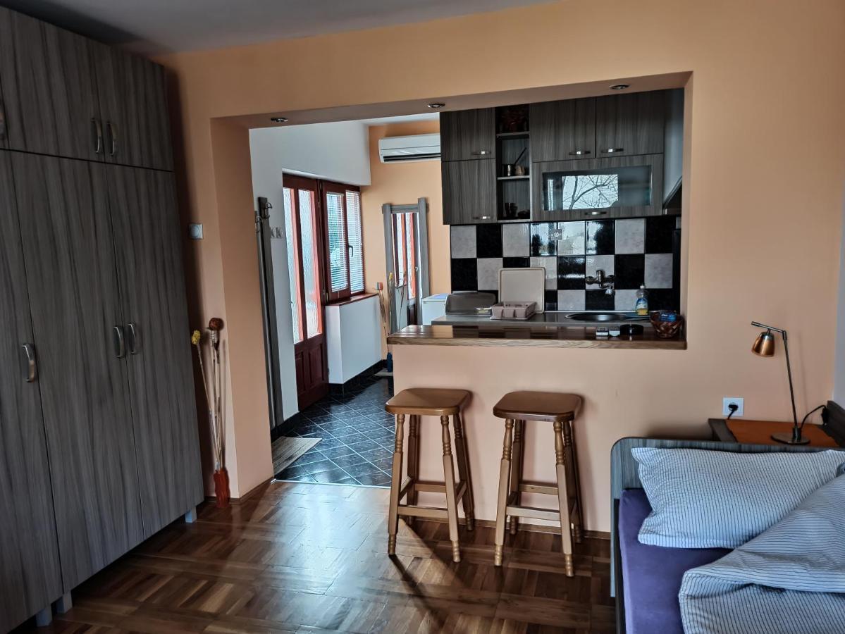 Apartman Ristic Niska Banja Eksteriør billede