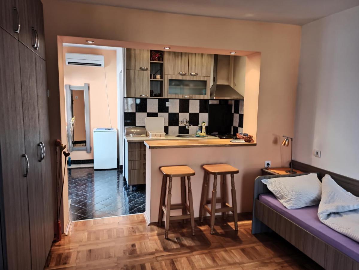 Apartman Ristic Niska Banja Eksteriør billede