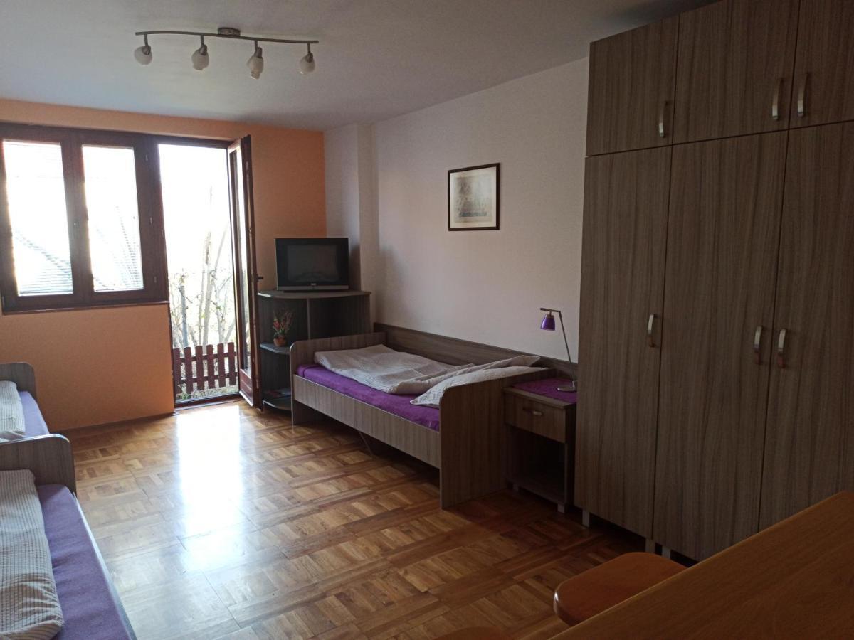 Apartman Ristic Niska Banja Eksteriør billede
