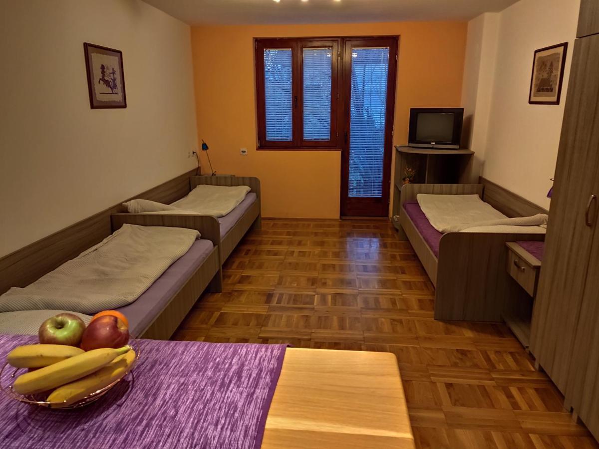 Apartman Ristic Niska Banja Eksteriør billede